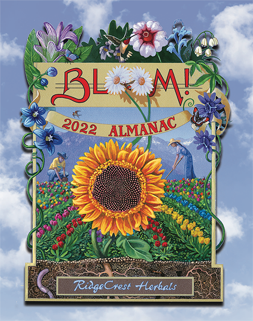 Almanac 2022