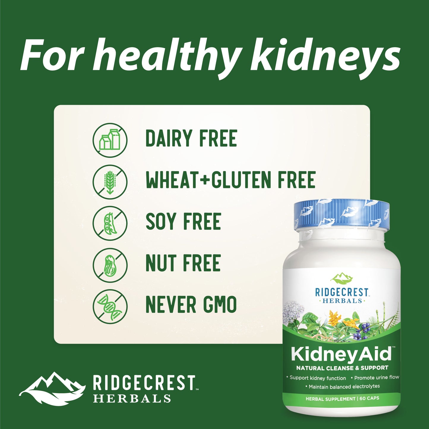 KidneyAid™