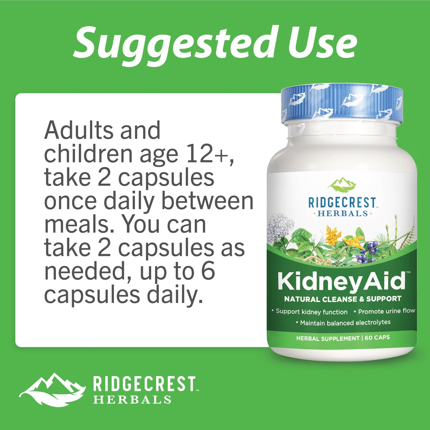 KidneyAid™